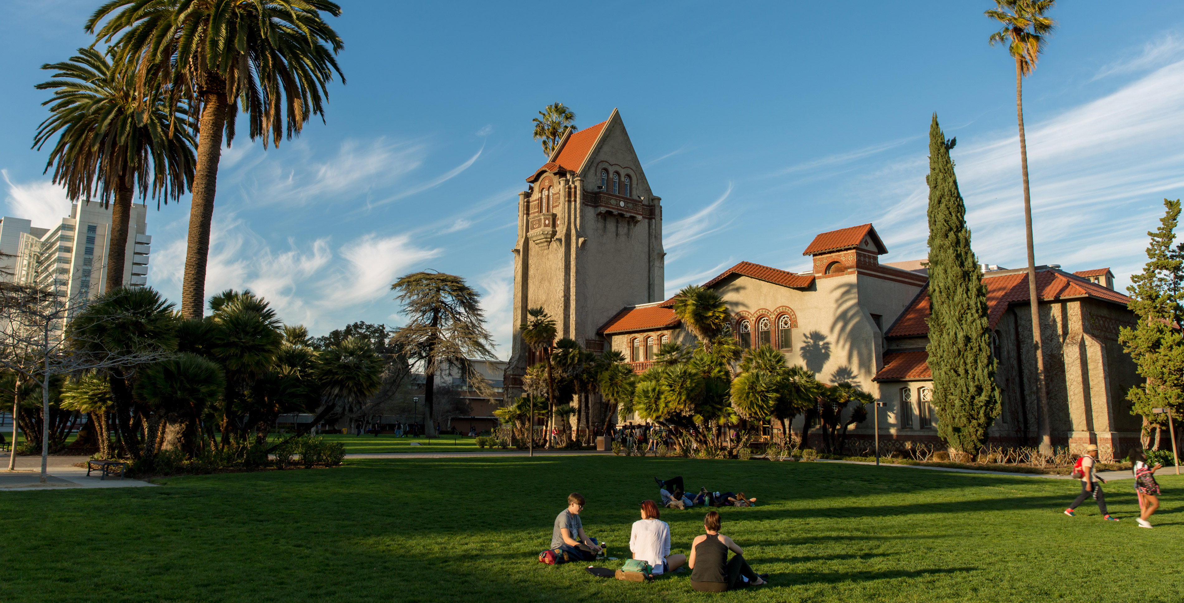 tower lawn