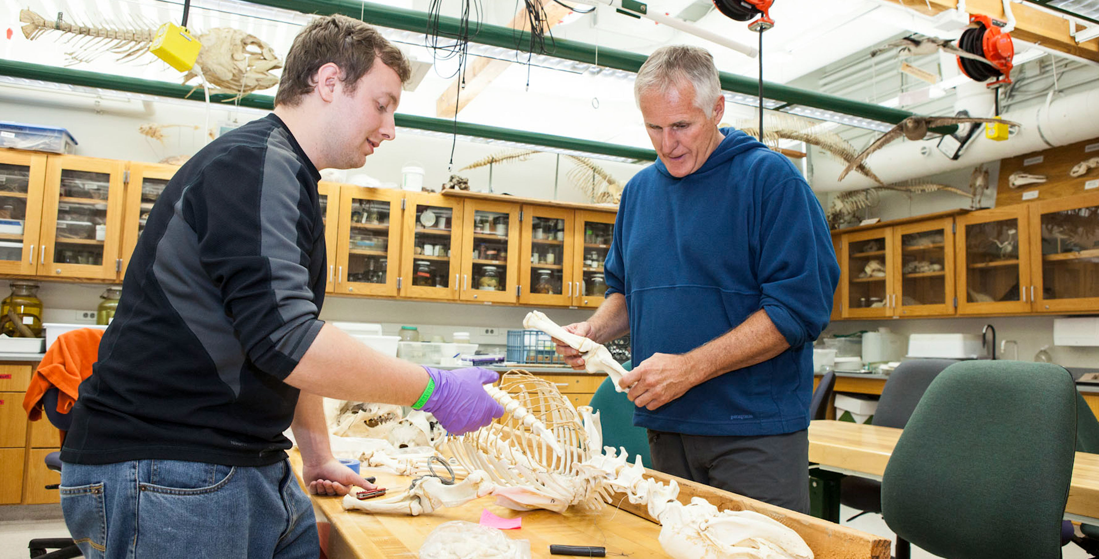 faculty advisor of the MLML Vertebrate Ecology Lab, Jim Harvey and student.