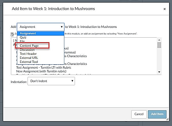 Choosing Content Page from the add-item dropdown