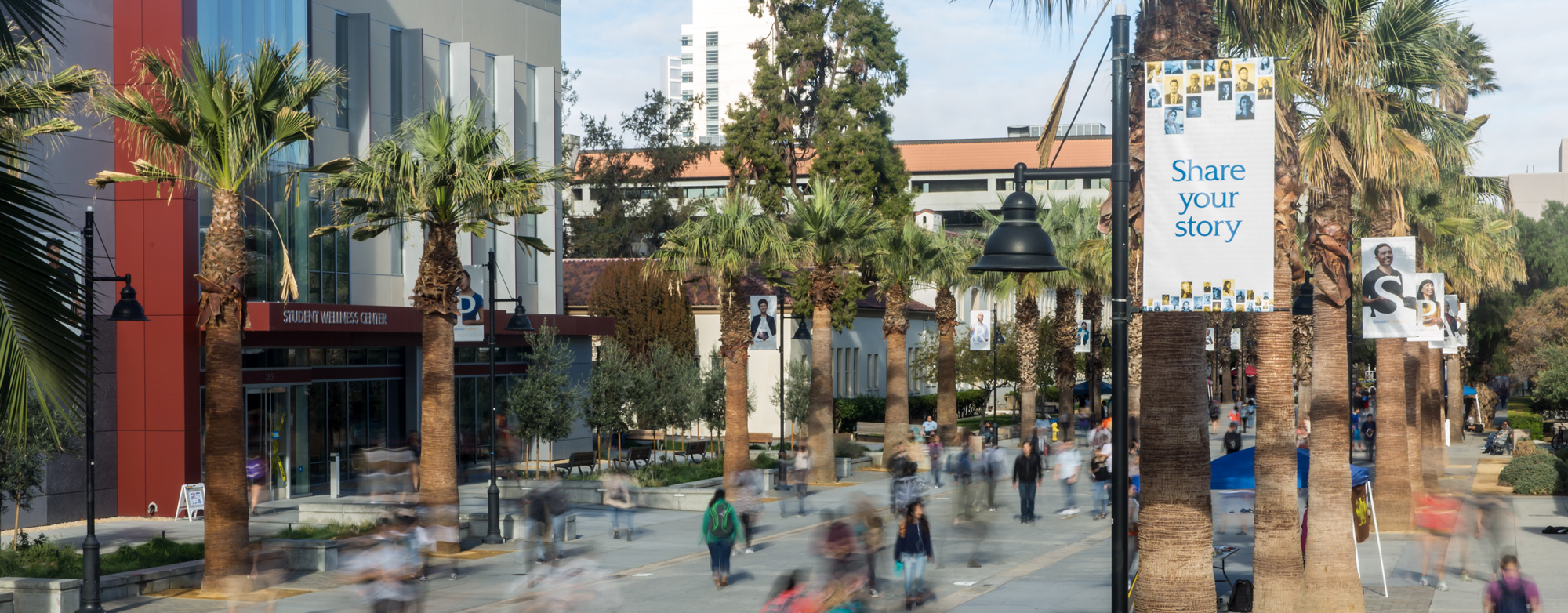 View of SJSU campus