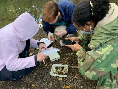 students-in-fieldwork