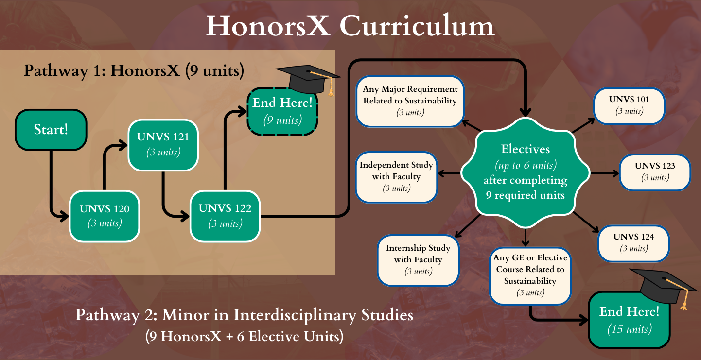 The general roadmap of the Interdisciplinary Minor