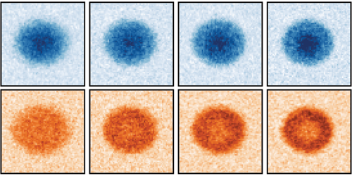 False color image of ultracold Yb atoms.