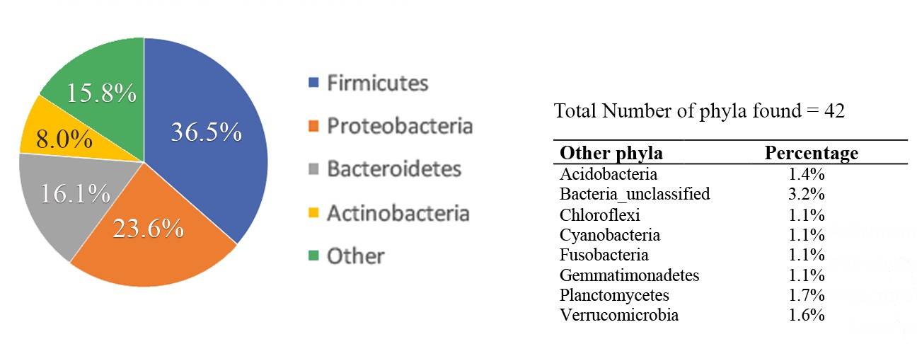 ecology chart