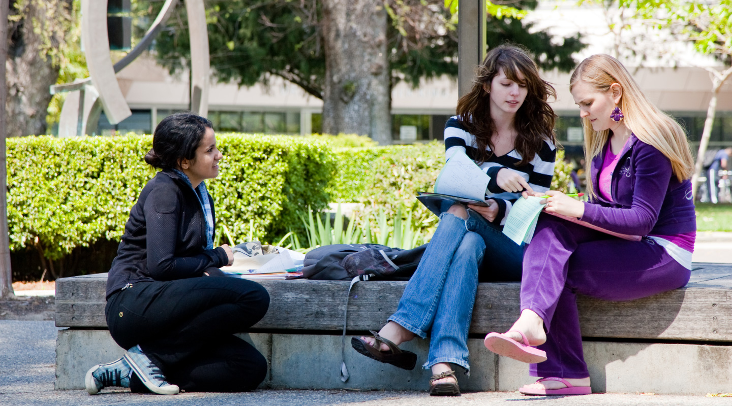 Students studying on SJSU campus.