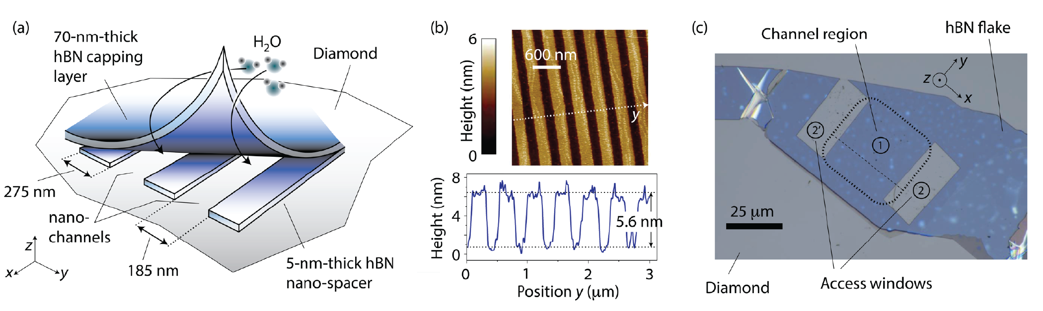 h-BN and diamond nanochannels